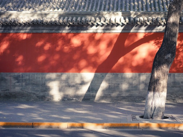 Tree shadows falling across a red palace wall in Beijing